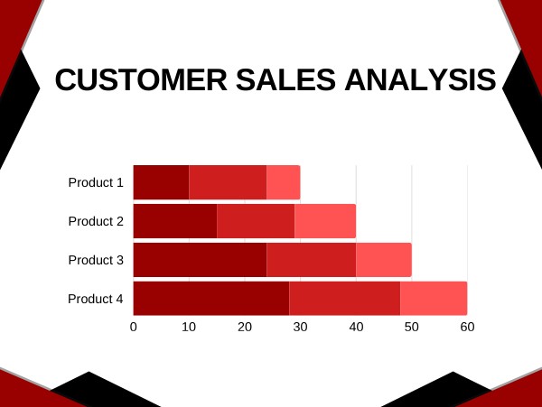 Customer Sales Analysis screenshot
